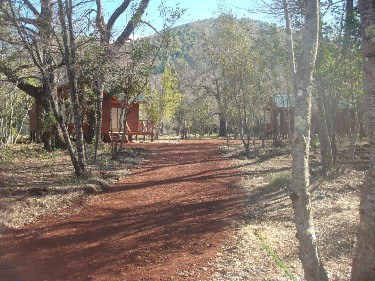 Cabanas Roble Quemado ラス・トランカス 部屋 写真